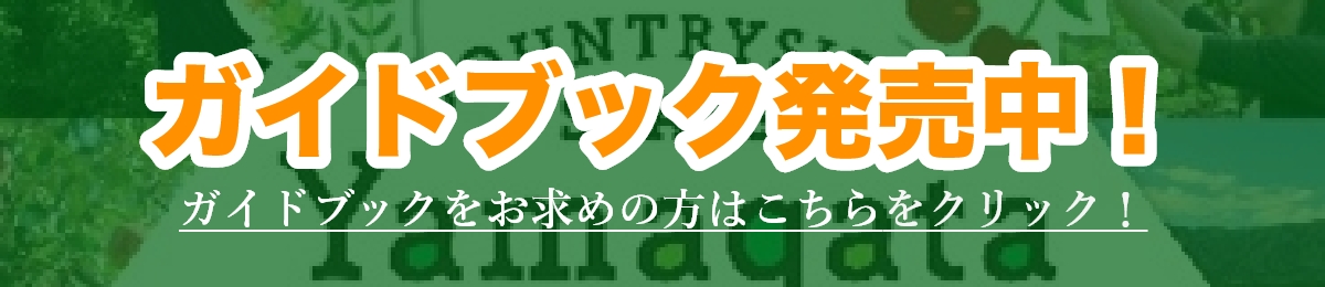 ガイドブックをお求めの方はこちらをクリック！