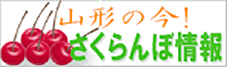 �R�`�̍��I�������ڏ��