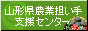 �R�`���_�ƒS����x���Z���^�[