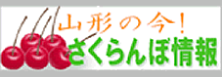 山形の今！さくらんぼ情報