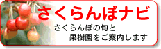 �R�`�������ڃi�r�ւ̃����N
