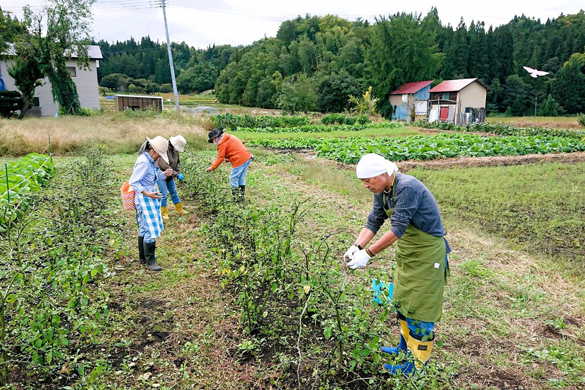 実りの秋　尾花沢ほその村で収穫体験＆山形の芋煮をつくっちゃおう！