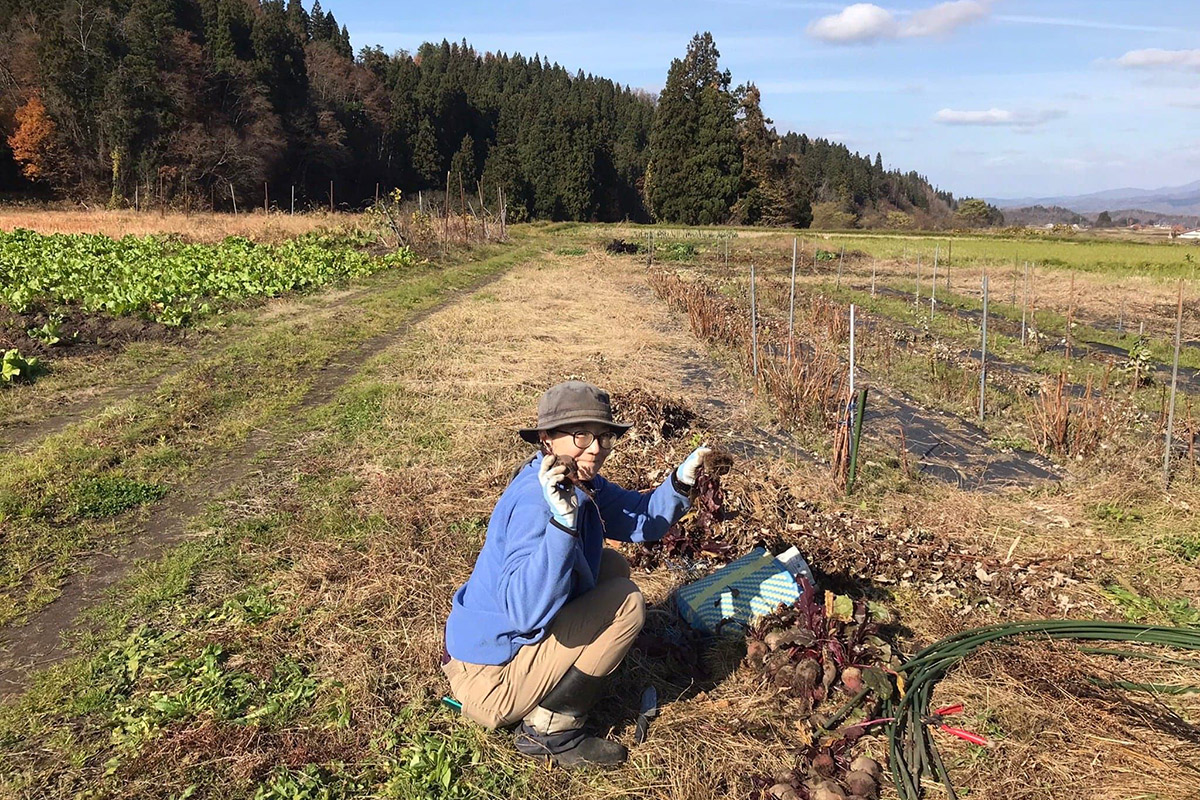 芽吹きの春の味山菜収穫体験