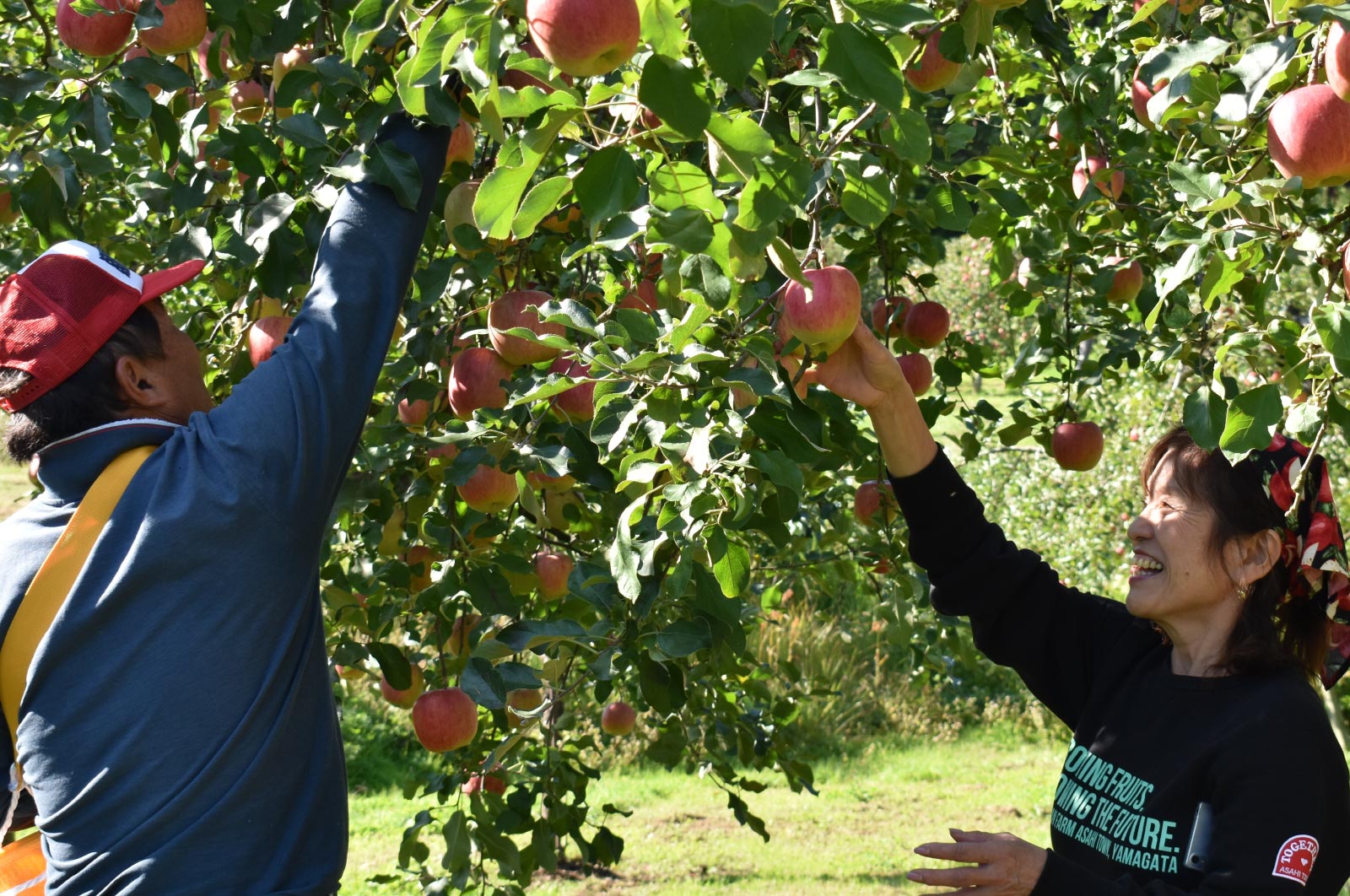 だいちゃん農園 de 農泊体験 | まるっとAsahi「蜜ろうクラフトづくり&りんご農家体験」