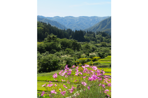 山の内自然体験交流施設 やまばと