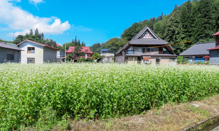 山の内自然体験交流施設 やまばと