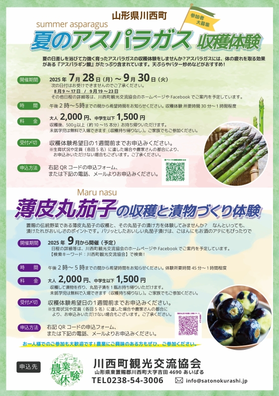 アスパラ・丸茄子　農業体験(560).jpg