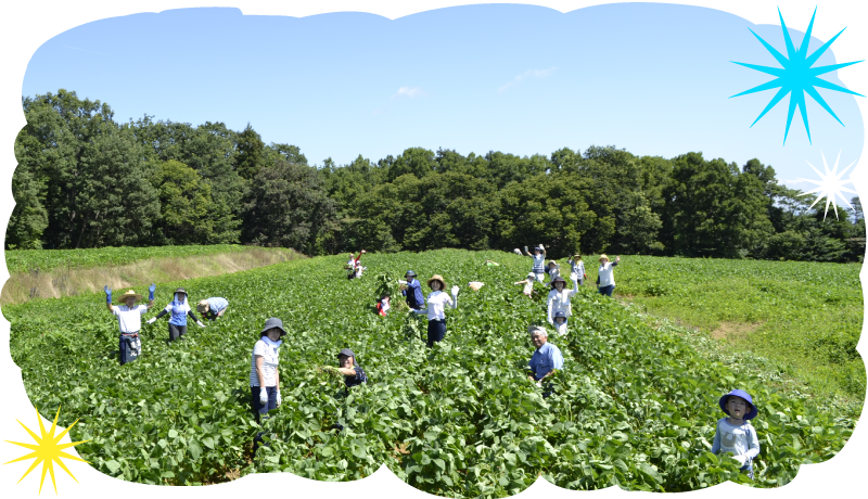 伝統食材を活かしたオーナー制度（支援事業）