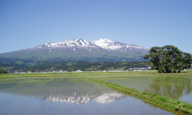 四季の森　しらい自然館